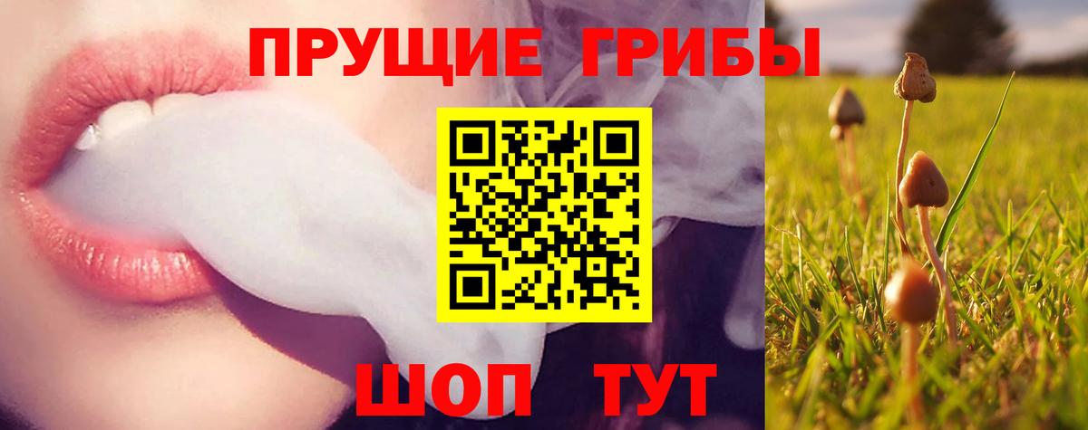 Галлюциногенные грибы мицелий  Псилоцибиновые грибы MAGIC MUSHROOMS  Вход с VPN  Чайковский 